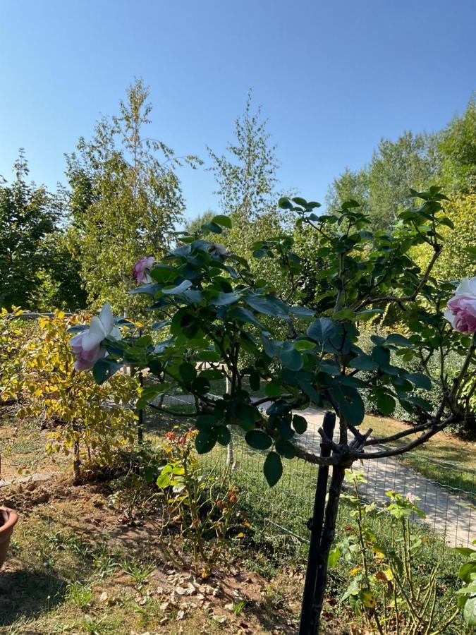 Appartamento Le Safran Obernai Esterno foto